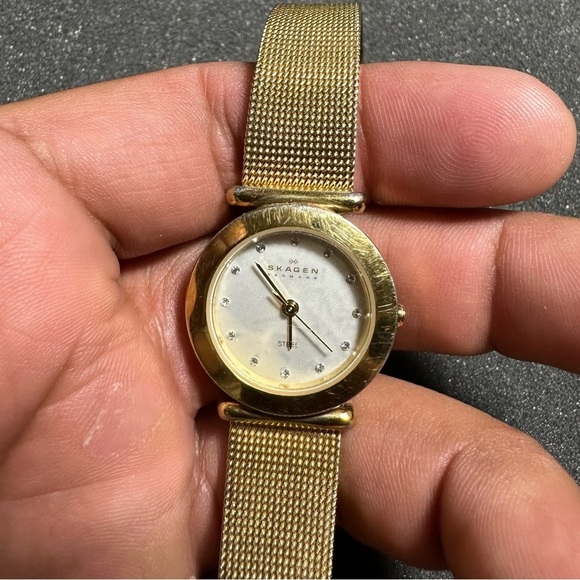 SKAGEN 107SGGD Women's Stainless Steel Analog Dial Quartz Wrist Watch Working - Picture 1 of 6